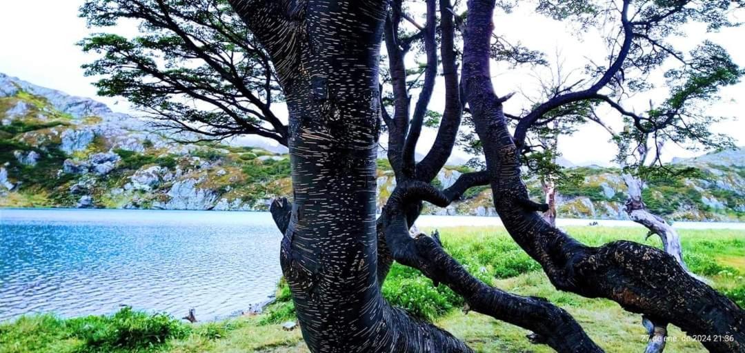 Cabanas Santa Montana Ushuaia Zewnętrze zdjęcie
