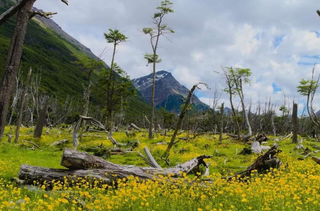 Cabanas Santa Montana Ushuaia Zewnętrze zdjęcie